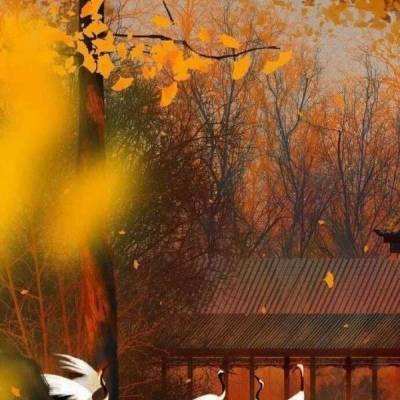 契约战记h5手游